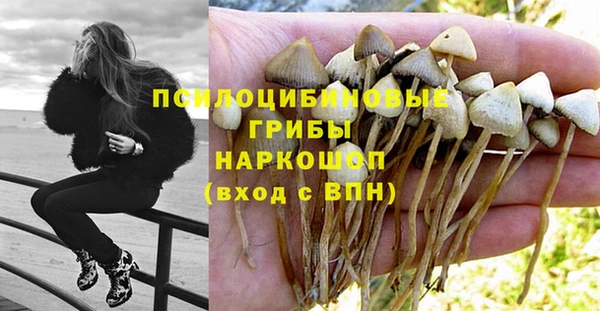 гашик Алексеевка