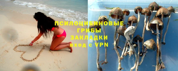 гашик Алексеевка
