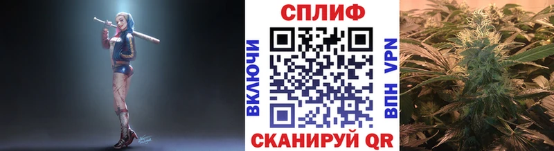 Каннабис семена Берёзовский
